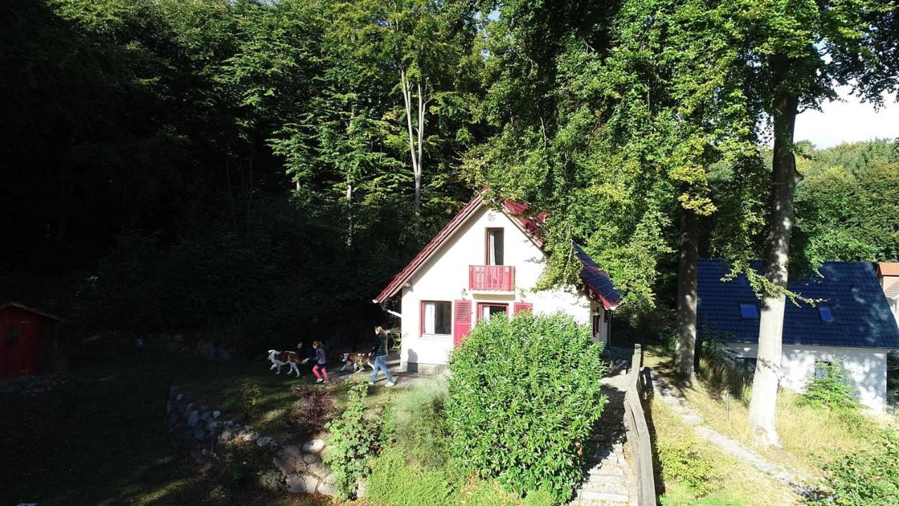 ゼリン Ferienhaus Rotkaeppchenヴィラ エクステリア 写真